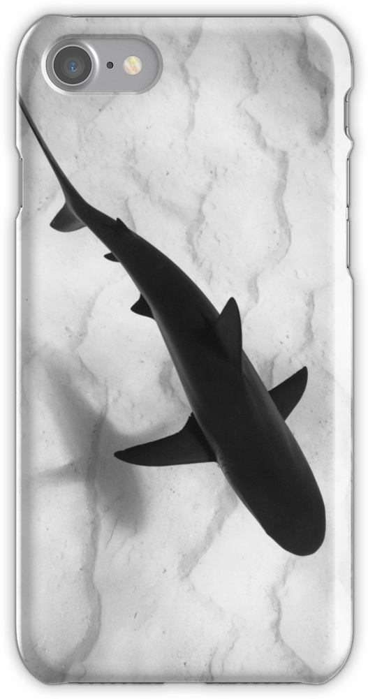 Shark In Silhouette Iphone 7 Snap Case - Iphone (750x1000), Png Download