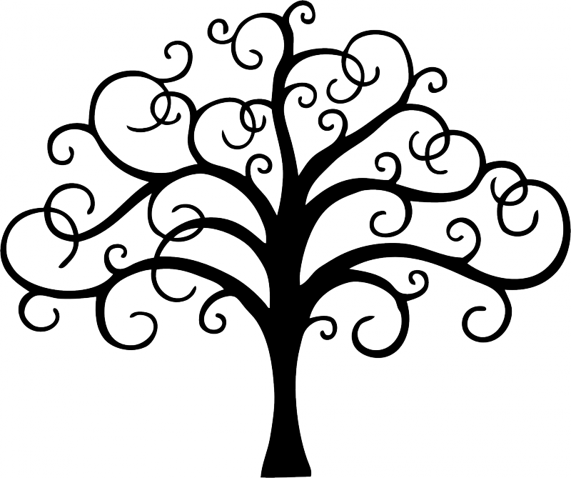 Create Your Design - Tree Of Life Png (800x669), Png Download