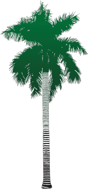 Previous - Attalea Speciosa (373x800), Png Download