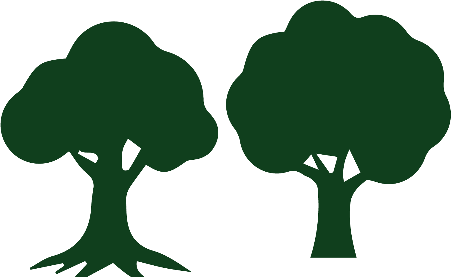 Tree Pruning And Brush Removal Services By Expert Tree - Tree (3000x1121), Png Download