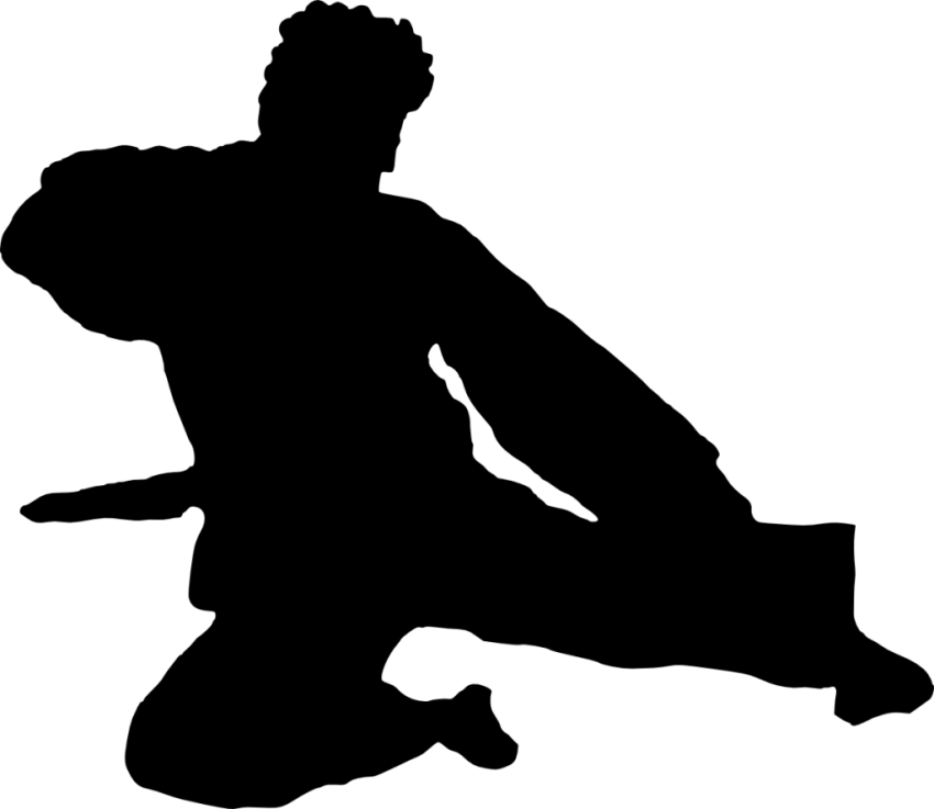 Free Png Karate Silhouette Png Images Transparent - Karate Silhouette Png (850x737), Png Download