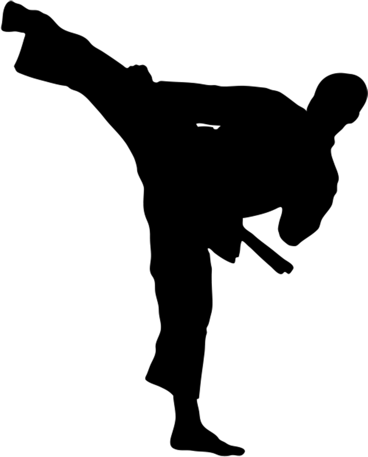 Mawnews Logo Kick - Martial Art Kick (1024x1024), Png Download