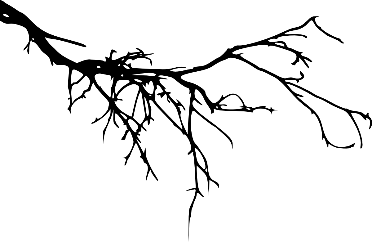 Tree Branch Silhouette Png Download - Branch Silhouette (1200x780), Png Download