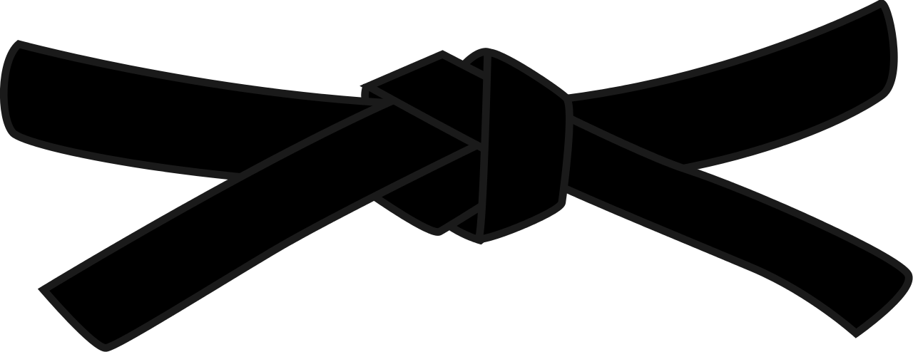 Black Vector, Karate, Clothing Png And - Black Belt Clip Art (1280x494), Png Download