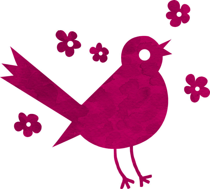 Bird, Silhouette, Pattern, Texture, Pink, Flowers - Pink Song Bird Pillow Case (801x720), Png Download