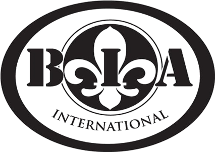B - I - A - Cordon Bleu Customer References For Symantec - International Year Of Sustainable Energy (500x500), Png Download