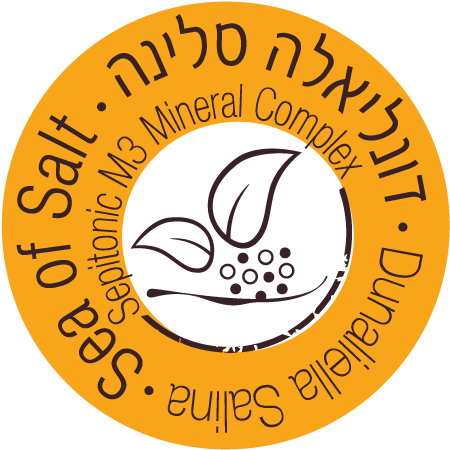 Dunaliella-heb - Circle (500x500), Png Download