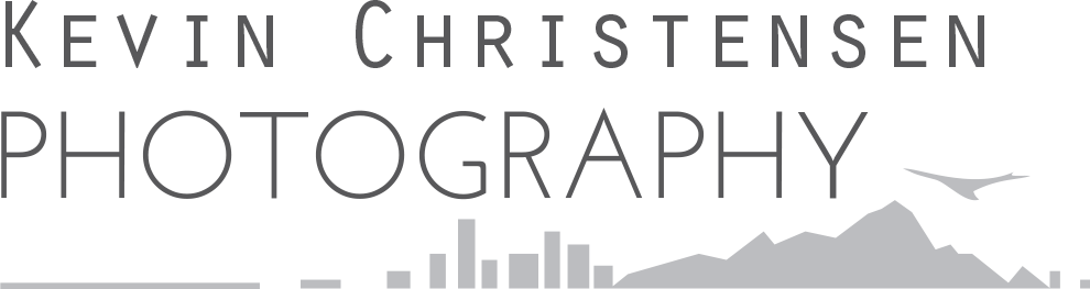 2 Tone Grey Logo - Watermark Font (990x263), Png Download