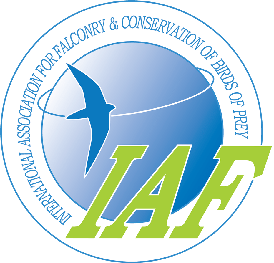 International Association For Falconry And Conservation - Iaf Falconry (1121x1075), Png Download