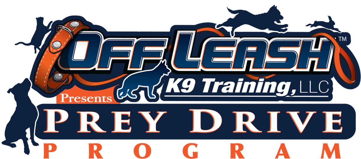 High Prey Drive Dog Training In Virginia - Prey Drive (1300x571), Png Download