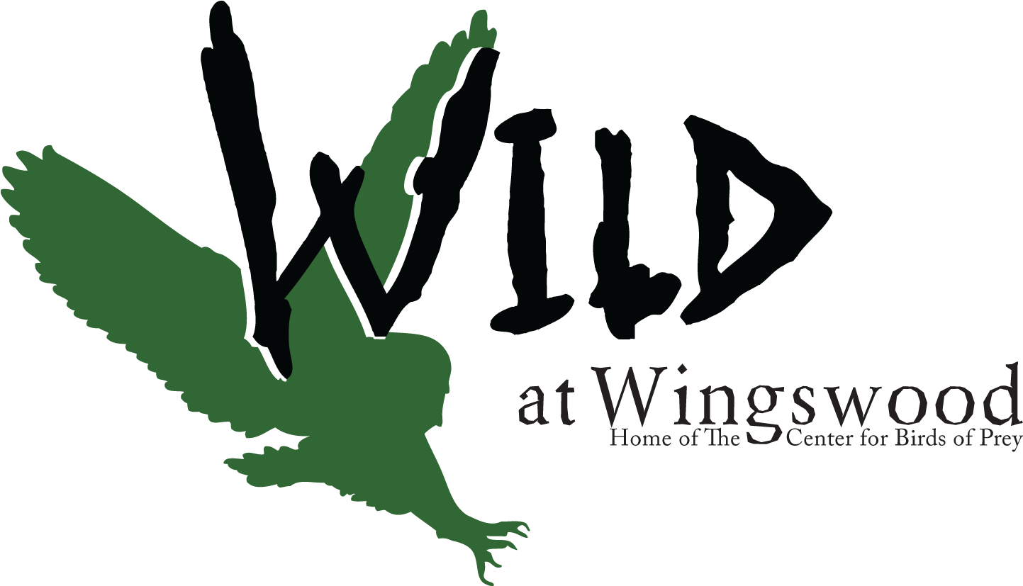 2011 Birds Of Prey Center 20th Celebration - 2011 (1500x900), Png Download