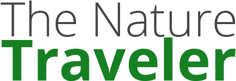 Loading - Vienna Airport Connecting Flights (590x286), Png Download