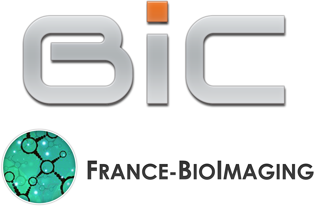 Logo Logo - Bordeaux Imaging Center (1149x817), Png Download