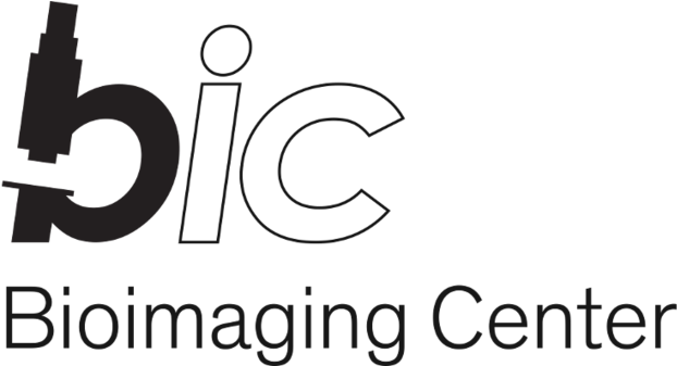 Further Announcements - Line Art (1200x336), Png Download