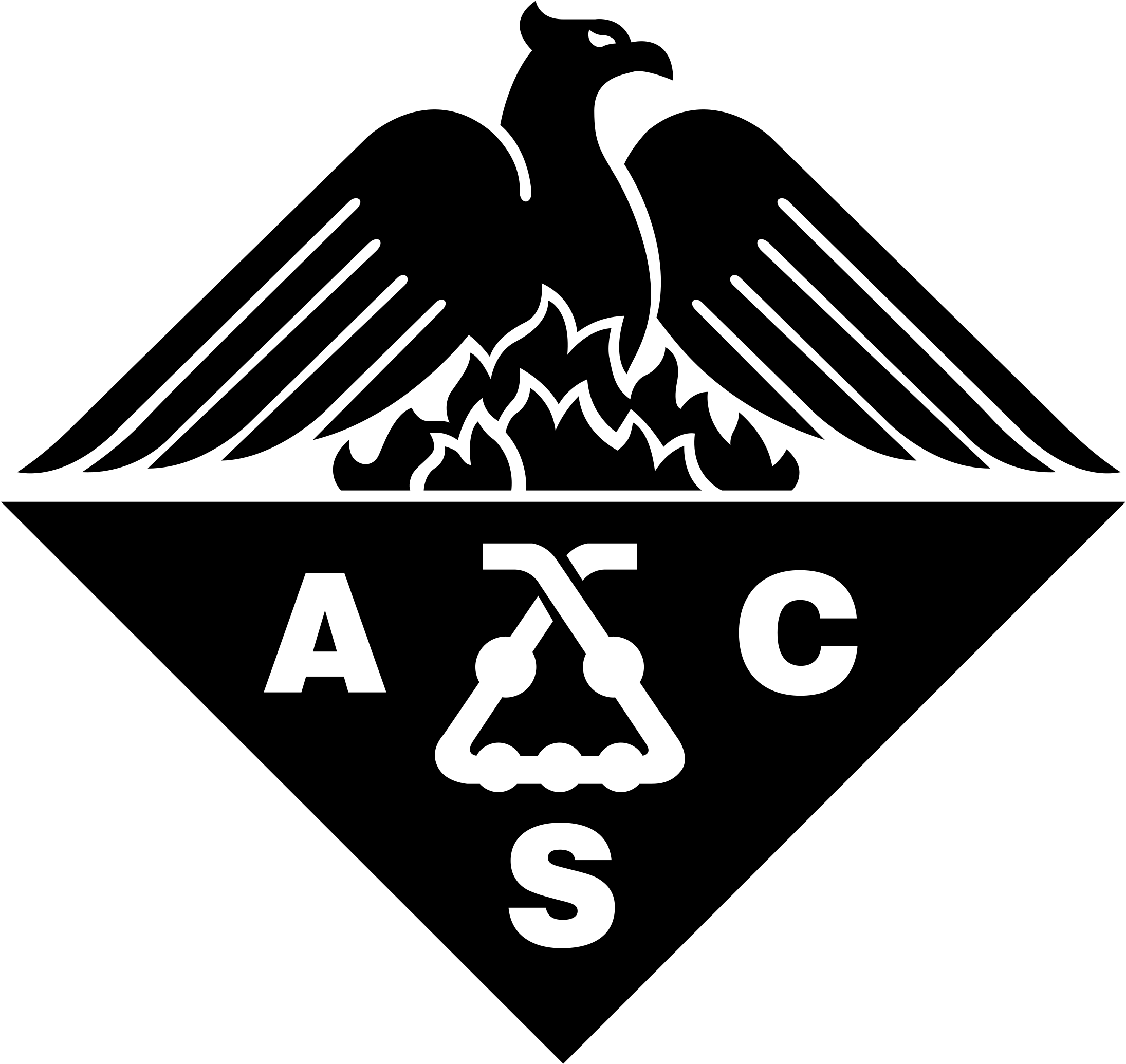 Acs Logo Png Transparent - American Chemical Society Logo Black (2400x2400), Png Download