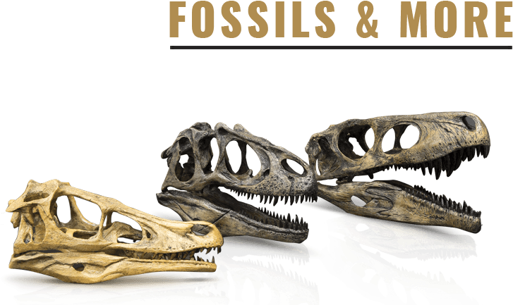 Cryptozoology - Skeleton (787x452), Png Download