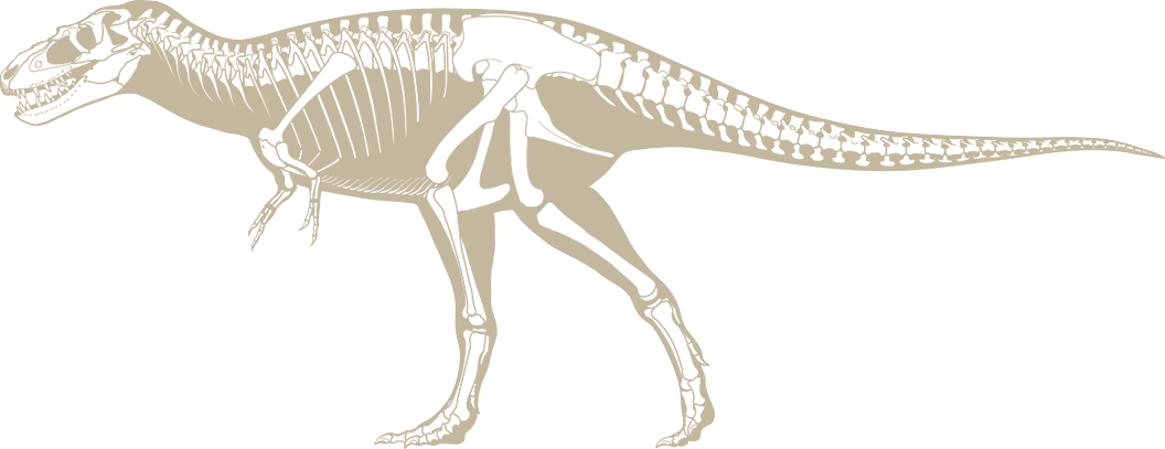 Dino Hunt - Illustration (1056x407), Png Download