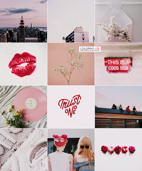 Wasirauhlpsds, Coloring - Download (500x599), Png Download