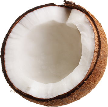 Coconut 350 - Florida Salt Scrubs, Your Official Salt Scrub Jar (356x350), Png Download
