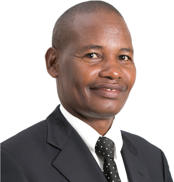 Steinberg (650x700), Png Download