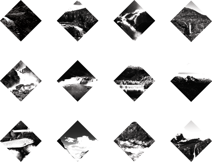 Put Together They Make A Fish Scale Pattern - Umbrella (700x537), Png Download