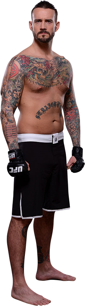 Cm Punk - Tattoo (273x981), Png Download