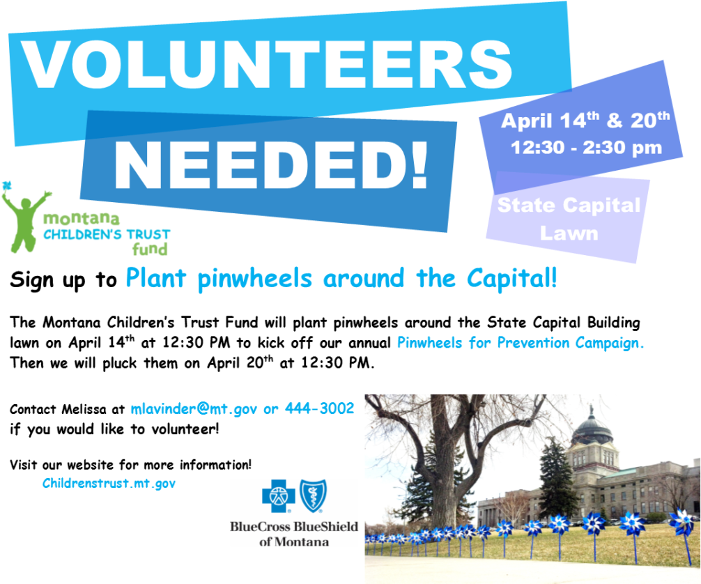 Pinwheel Volunteers Needed - Blue Cross Blue Shield Association (1024x837), Png Download