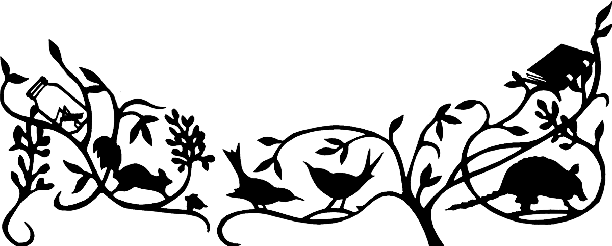 La Evolucion De Calpurnia Tate = The Evolution (1200x482), Png Download