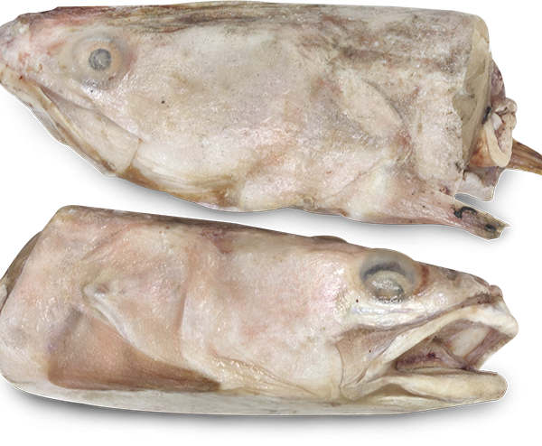 Fish Head - Fish (600x494), Png Download