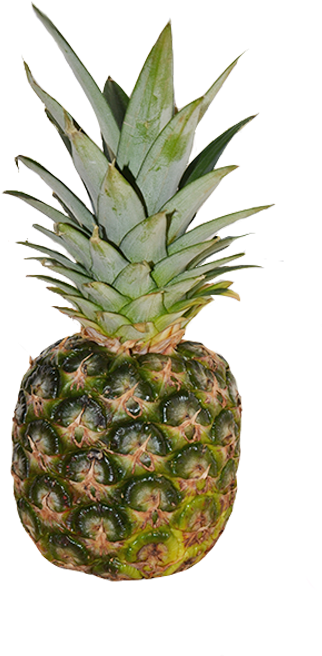 I Took Inspiration For The Types Of Fruit I Used From - Big Pineapple (454x694), Png Download