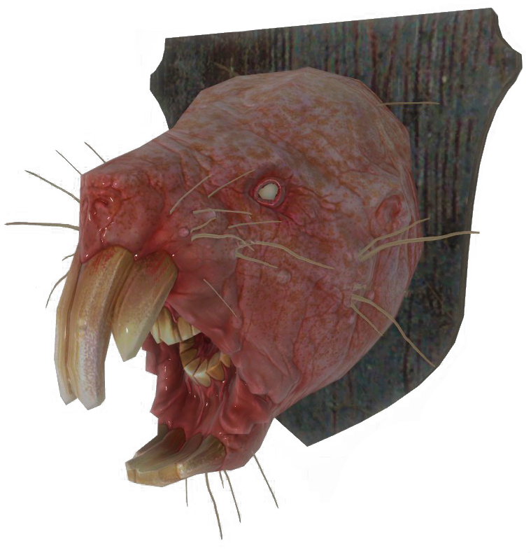Fo4 Mounted Mole Rat Head - Fallout 4 (762x810), Png Download