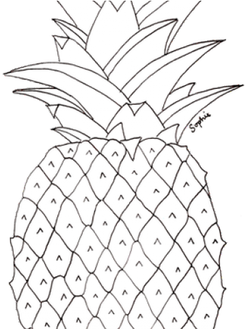 Drawn Pineapple Transparent - Pineapple Pictures To Colour (640x480), Png Download