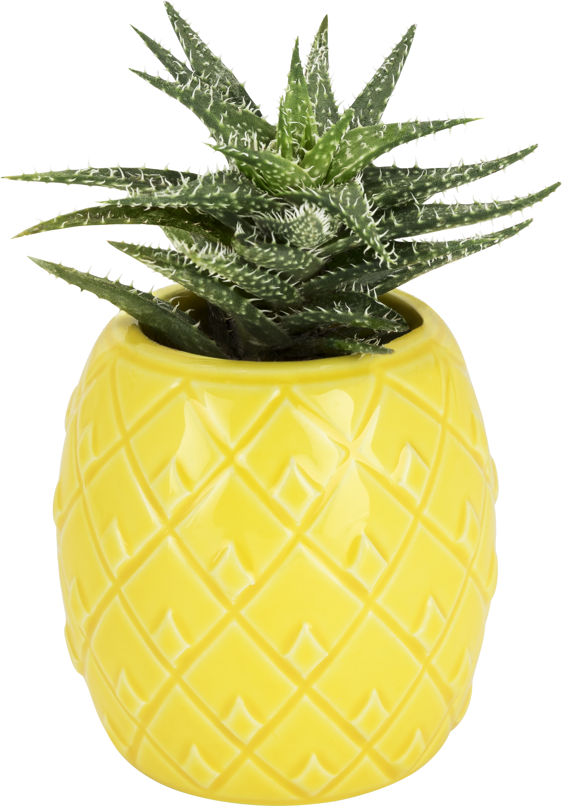 Pineapple Planter By Truezoo - Pineapple Planter (3413x3413), Png Download