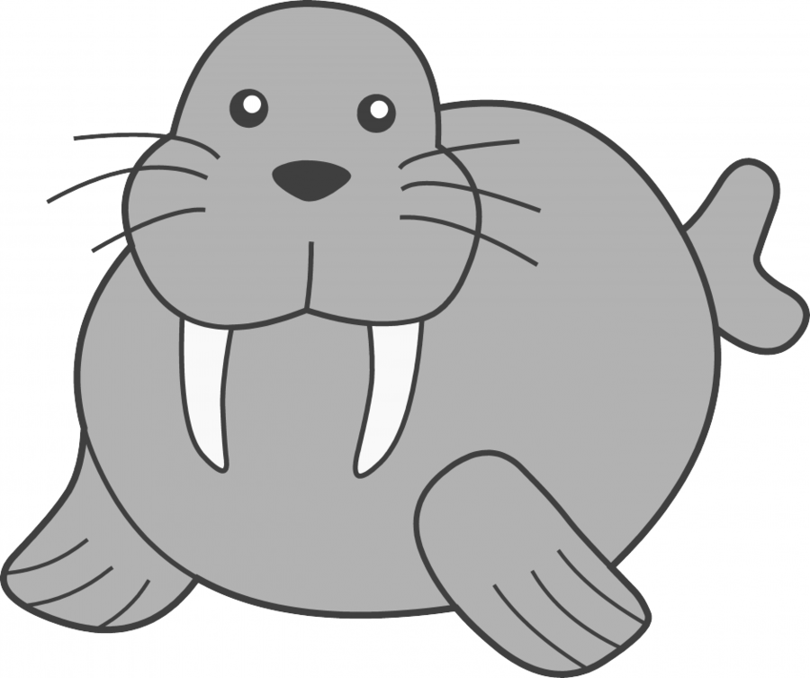 Cartoon Walrus Png Clipart Walrus Puppy Clip Art - Walrus Clip Art (900x753), Png Download