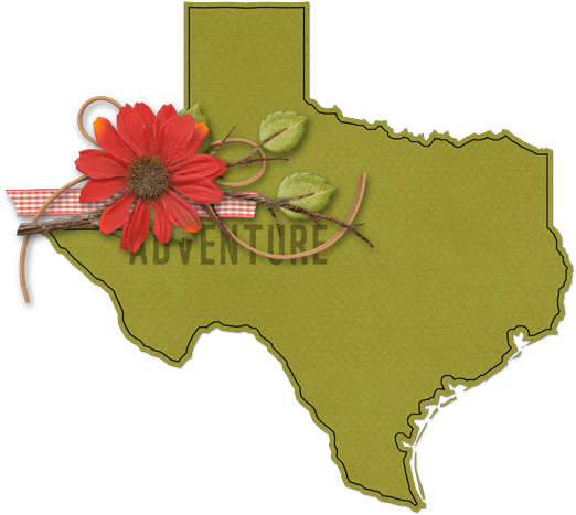 States-2 - Texas Map Vector Png (540x487), Png Download