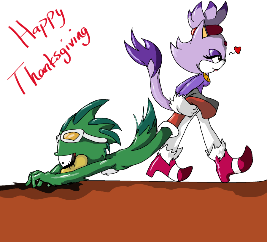 Blaze Vs Jet - Blaze The Cat Exe (900x817), Png Download