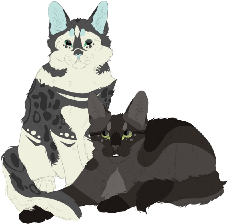 Details - Domestic Short-haired Cat (828x960), Png Download