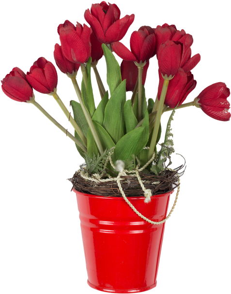 Red Tulips In Bucket - Flowerpot (866x650), Png Download