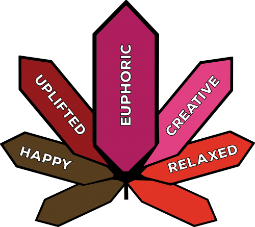 Genetics - Graphic Design (500x445), Png Download