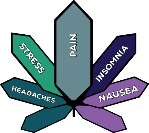 Genetics (500x445), Png Download