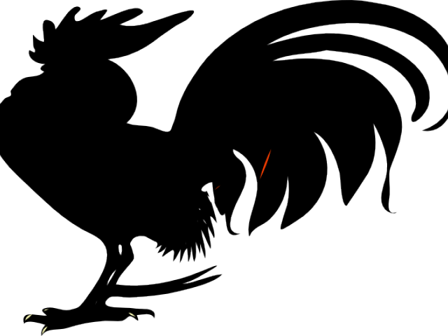 Tail Clipart Chicken - Rooster Clip Art (640x480), Png Download