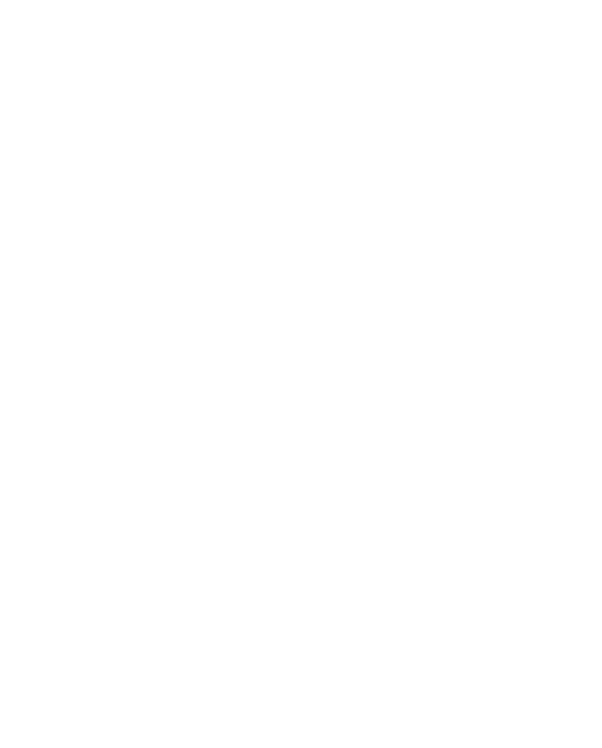 Finger Lakes Web & Social Discount Packages - Triangle (900x1119), Png Download