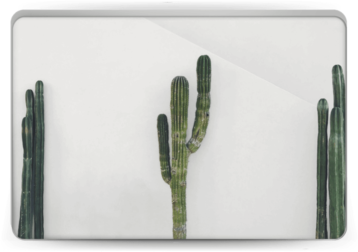 Mexican Cactus - Macbook Pro 13-inch (800x533), Png Download