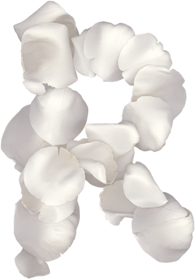 Rose White Font - Bracelet (595x595), Png Download