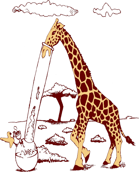Giraffe, Bong, And Weed Image - Clouds Are Made Giraffe (484x597), Png Download
