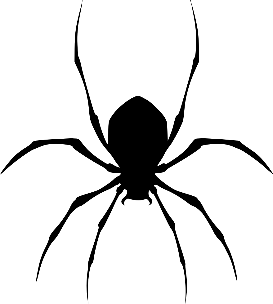 Png File - Free Spider Clipart (880x980), Png Download