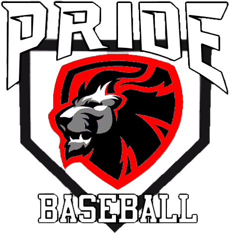 Welcome To Nations Baseball This Team Hasn't Setup - Emblem (492x506), Png Download