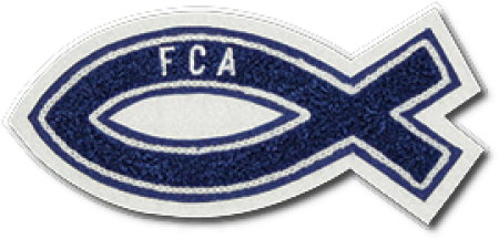 Ichthus Sleeve Patch - Pink Star Of Life (500x500), Png Download