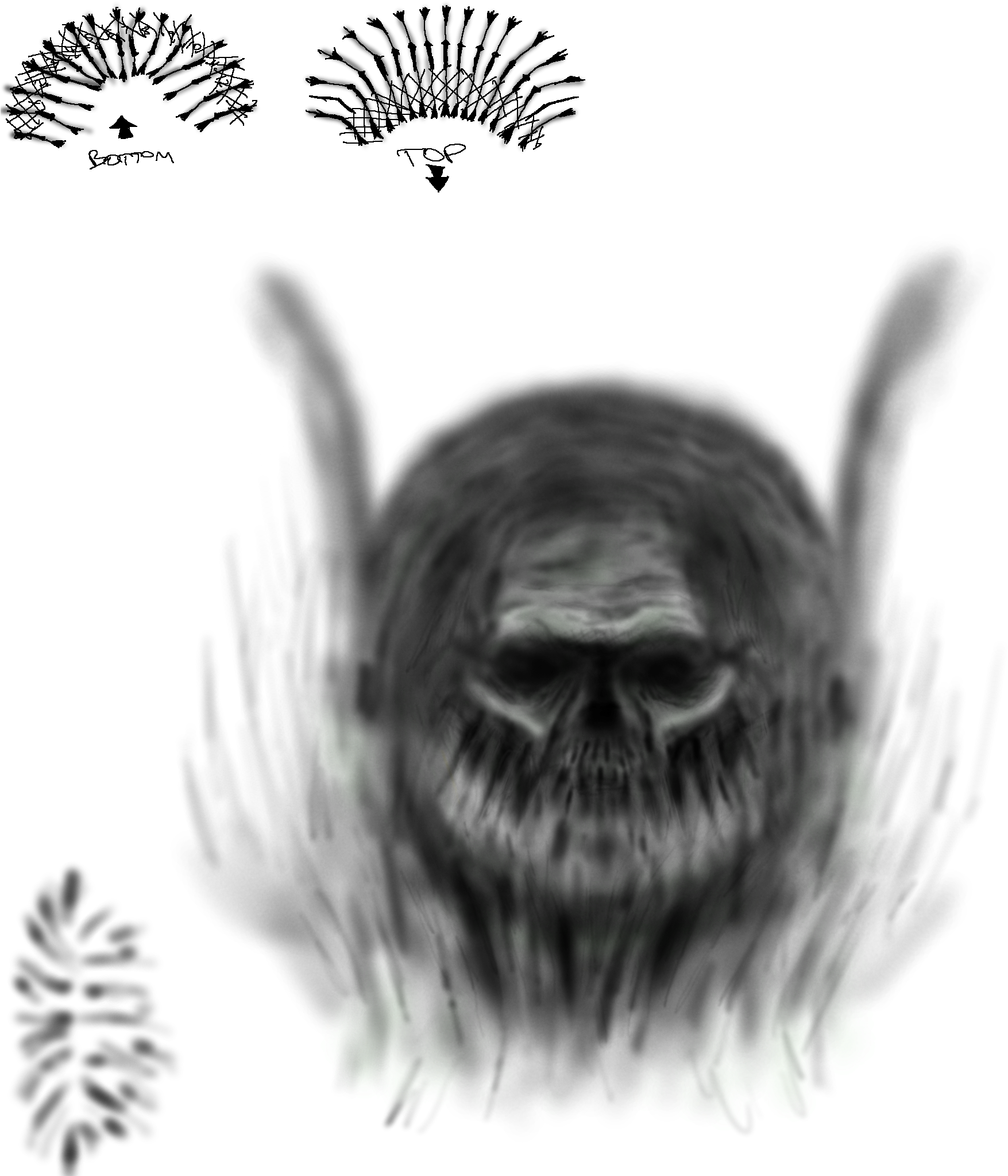 Click Here To Download - House Fly (2048x2048), Png Download