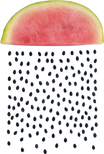 31 Images About Pngs & Overlays On We Heart It - Watermelon Seed Art (466x640), Png Download